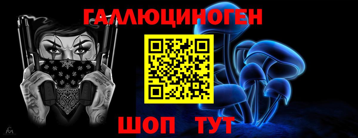 Галлюциногенные грибы Magic Shrooms  Псилоцибиновые грибы GOLDEN TEACHER  Вход с VPN  Шатура 