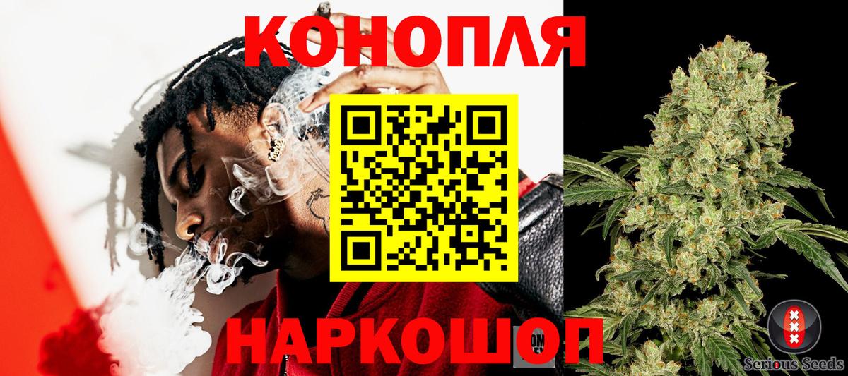 Шатура  Шишки марихуана планчик  Вход с VPN  Каннабис сатива  Бошки марихуана ГИДРОПОН 